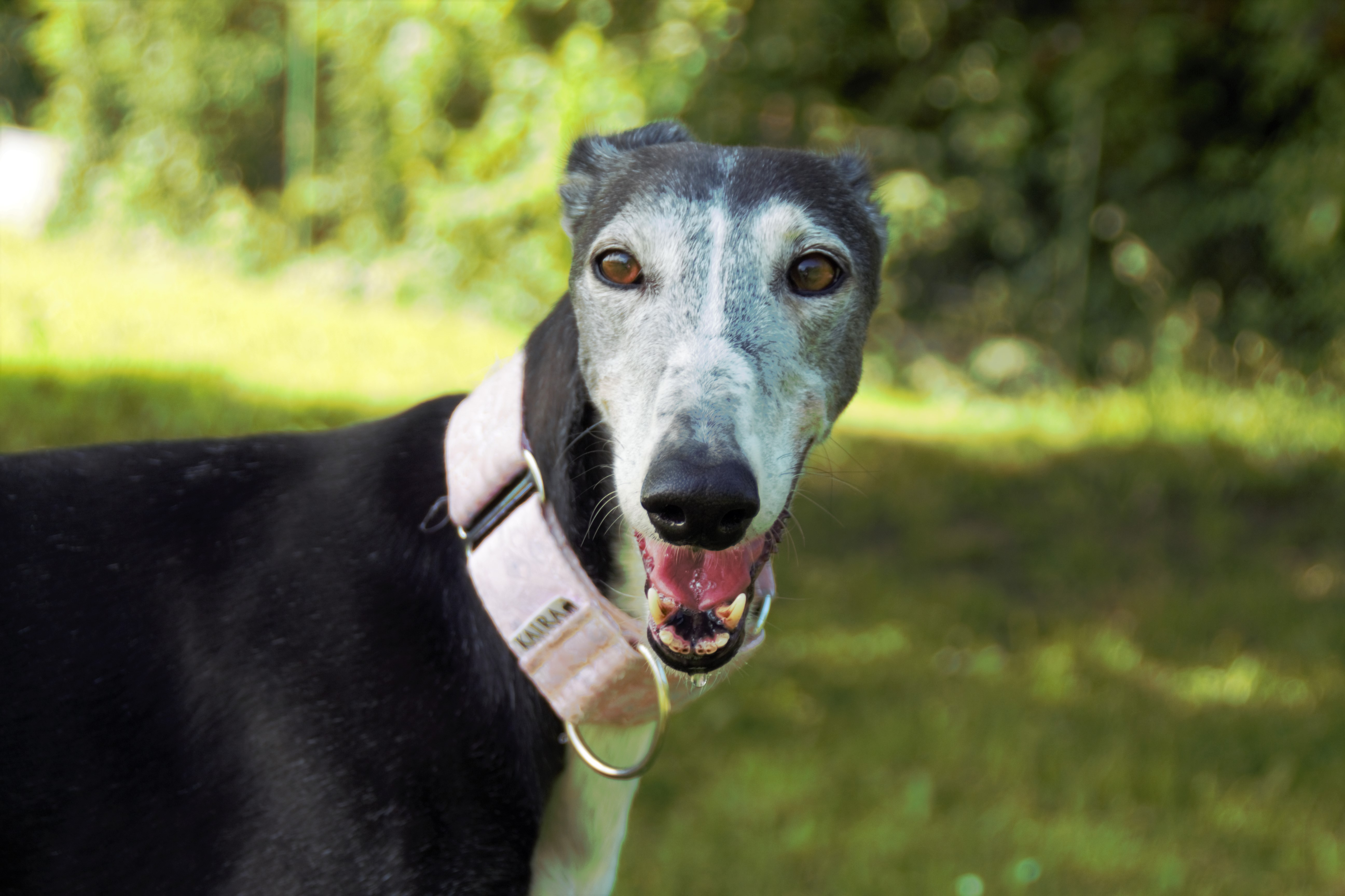 "Magda macht das schon"